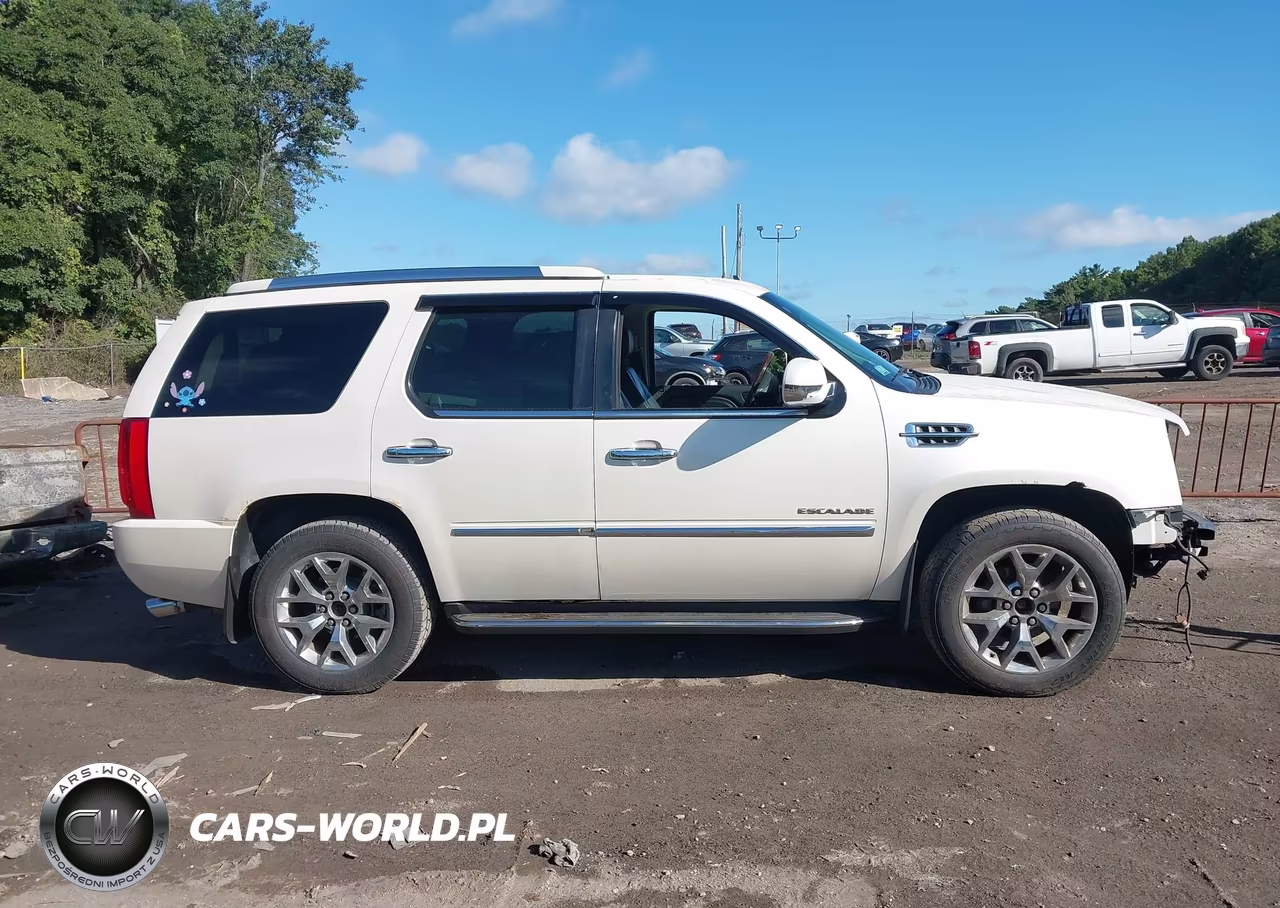 2010 Cadillac Escalade Luxury VIN:1GYUKBEF3AR271212 - 13