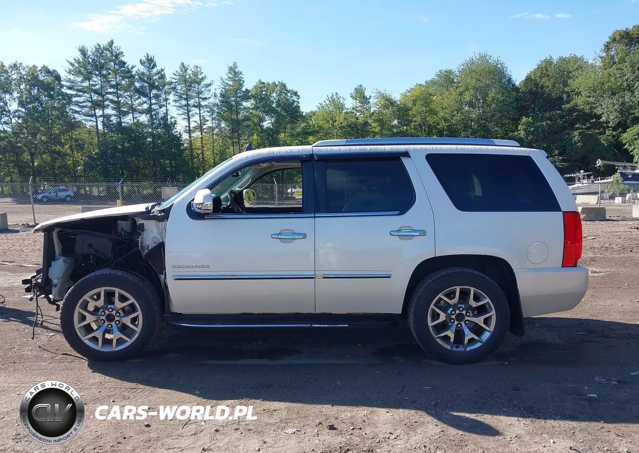 2010 Cadillac Escalade Luxury VIN:1GYUKBEF3AR271212 - 14