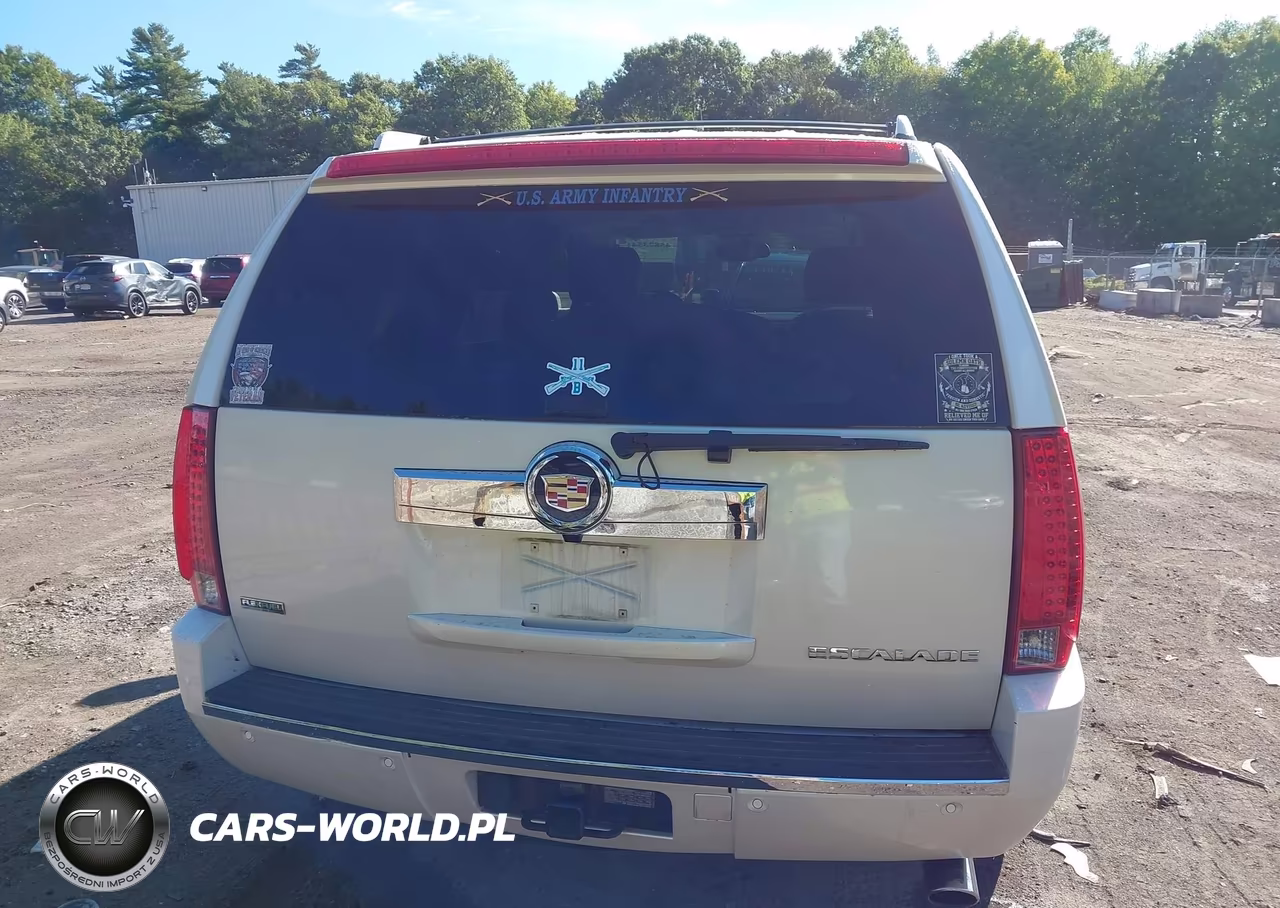 2010 Cadillac Escalade Luxury VIN:1GYUKBEF3AR271212 - 16
