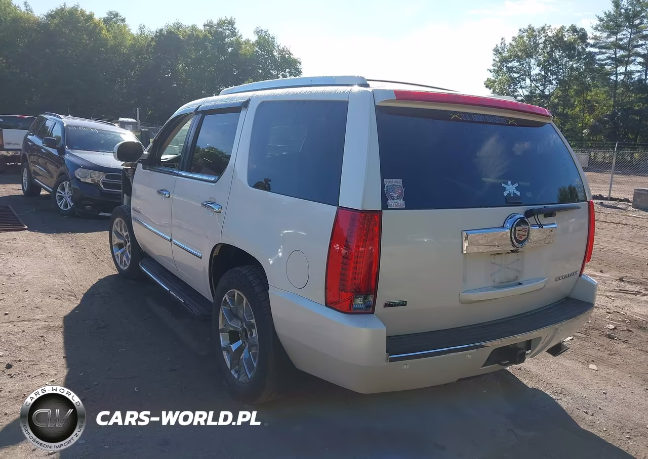 2010 Cadillac Escalade Luxury VIN:1GYUKBEF3AR271212 - 3