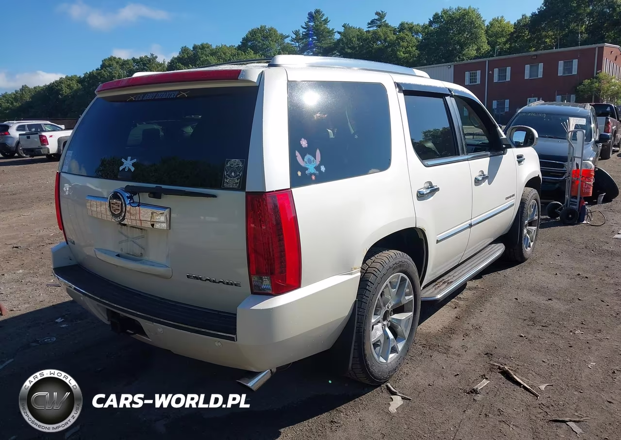 2010 Cadillac Escalade Luxury VIN:1GYUKBEF3AR271212 - 4