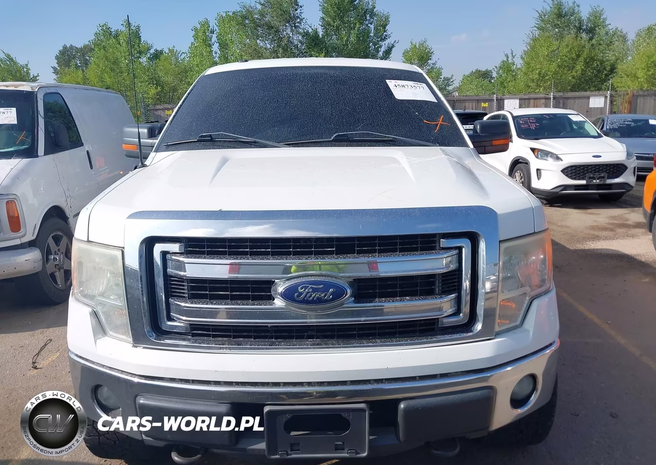 2013 Ford F-150 Xlt VIN:1FTFW1EF5DFD70262 - 12