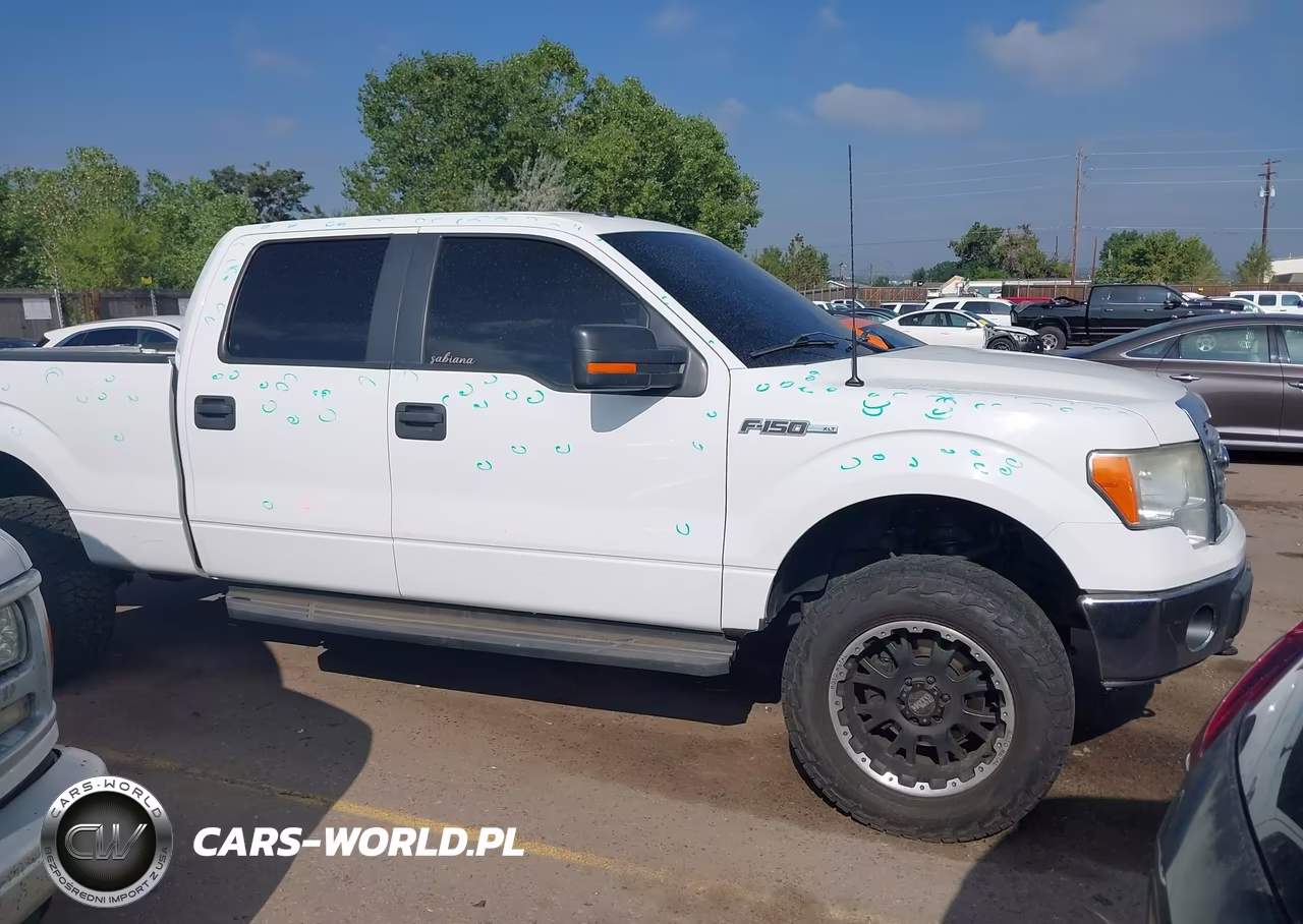 2013 Ford F-150 Xlt VIN:1FTFW1EF5DFD70262 - 13