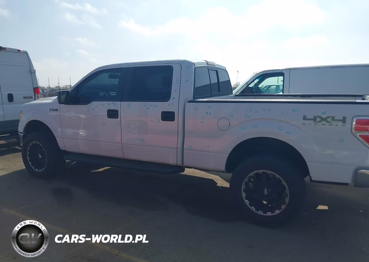 2013 Ford F-150 Xlt VIN:1FTFW1EF5DFD70262 - 14