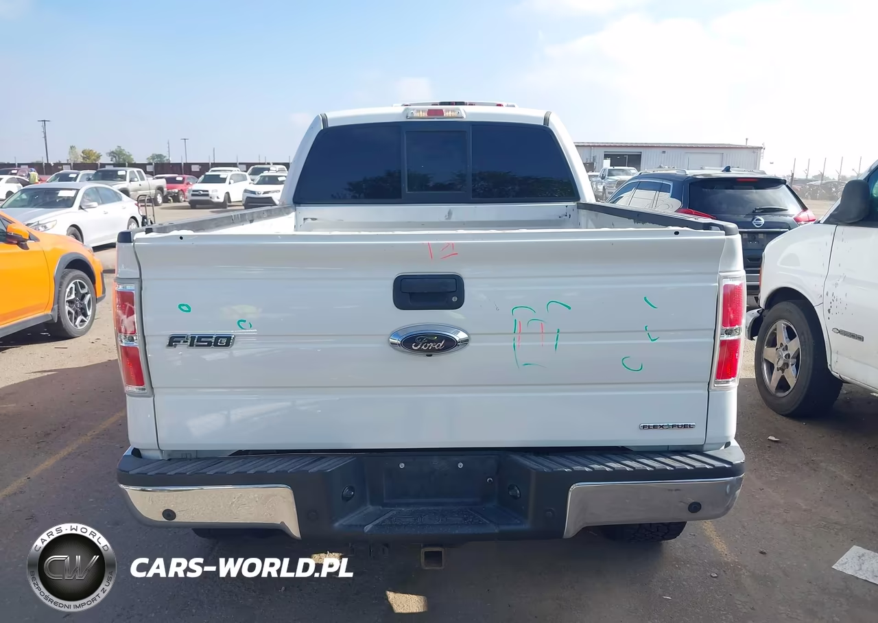 2013 Ford F-150 Xlt VIN:1FTFW1EF5DFD70262 - 16