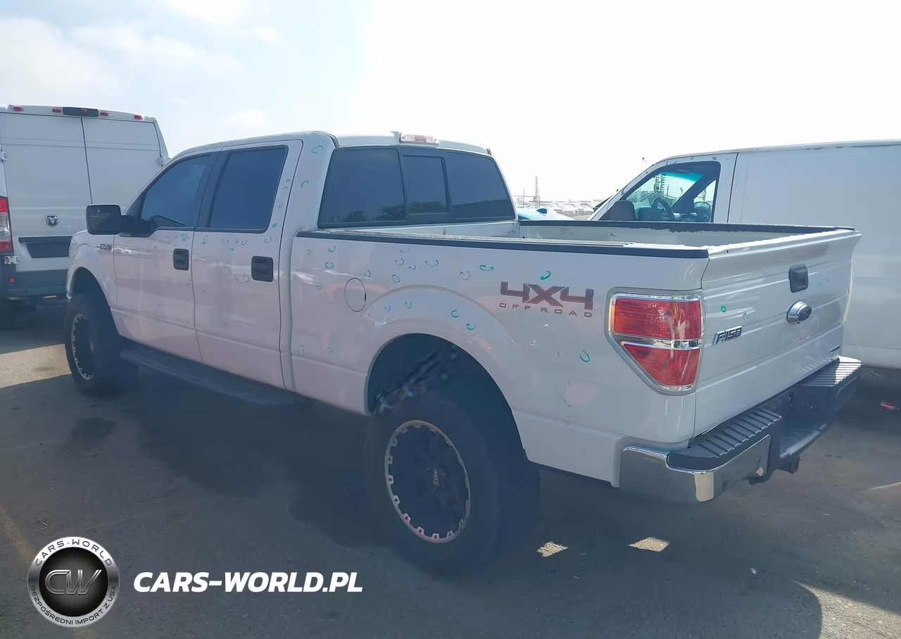 2013 Ford F-150 Xlt VIN:1FTFW1EF5DFD70262 - 3