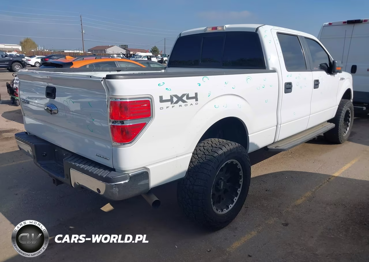 2013 Ford F-150 Xlt VIN:1FTFW1EF5DFD70262 - 4