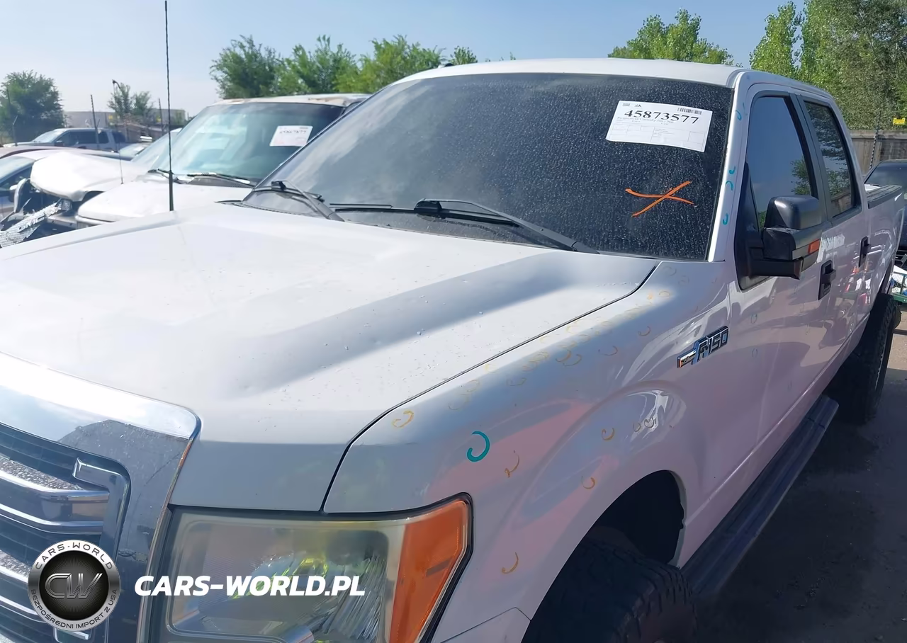 2013 Ford F-150 Xlt VIN:1FTFW1EF5DFD70262 - 6