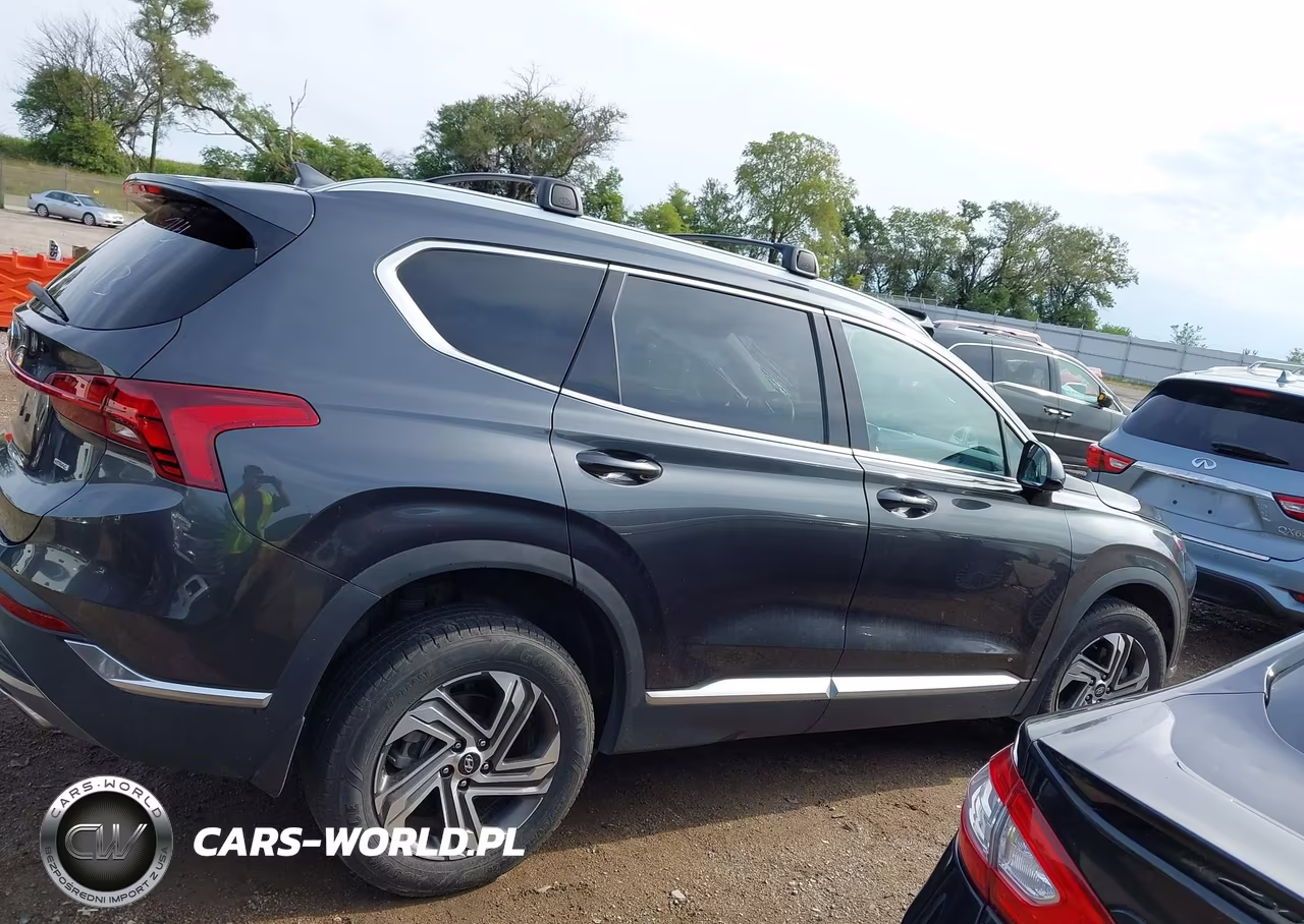 2022 Hyundai Santa Fe Sel VIN:5NMS2DAJ9NH450674 - 12