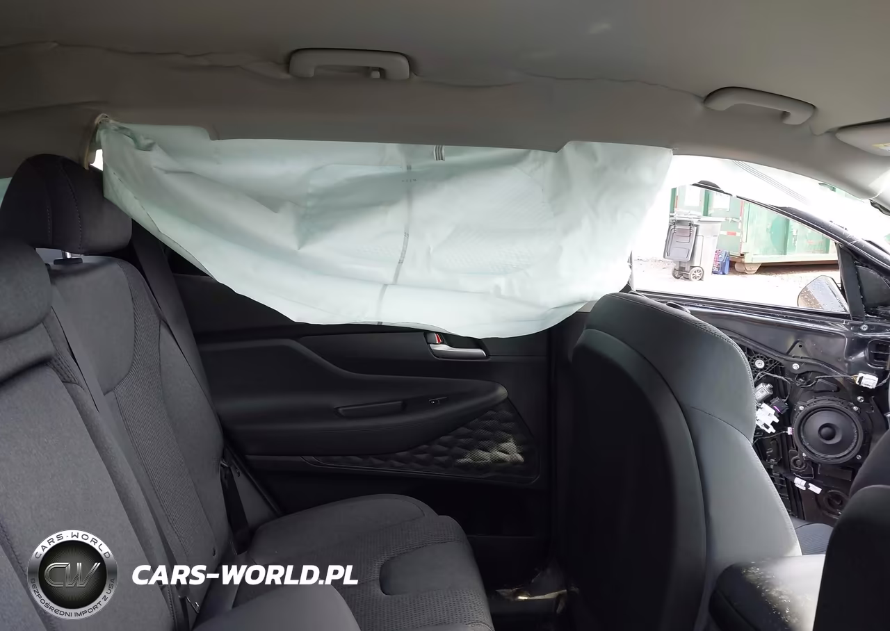 2022 Hyundai Santa Fe Sel VIN:5NMS2DAJ9NH450674 - 20
