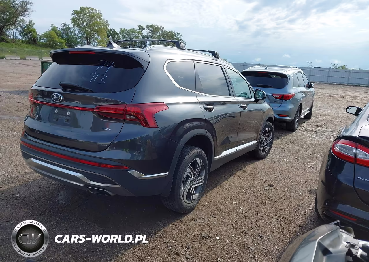 2022 Hyundai Santa Fe Sel VIN:5NMS2DAJ9NH450674 - 4