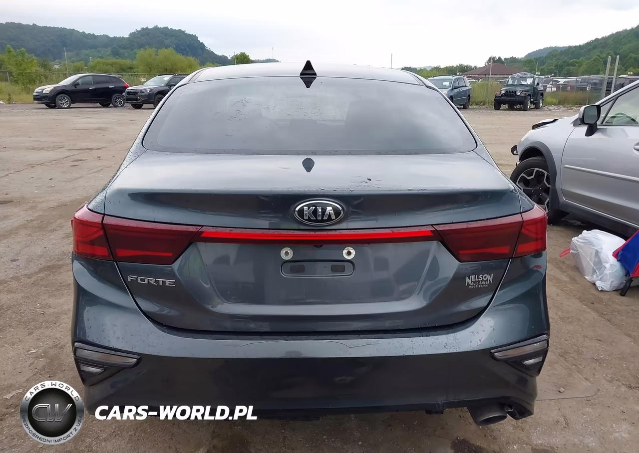 2020 Kia Forte Lxs VIN:3KPF24AD4LE187073 - 17
