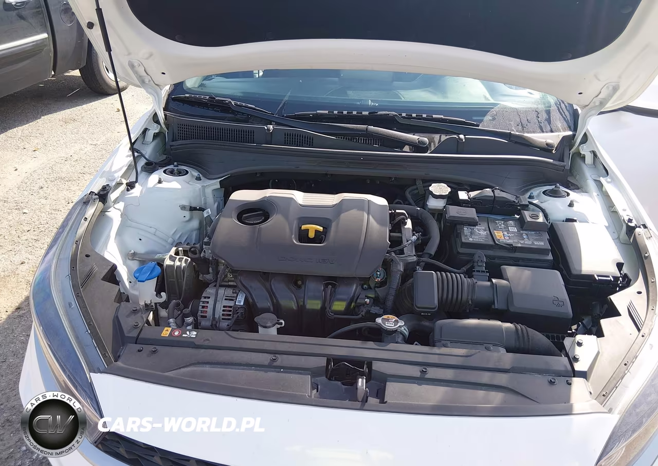2023 Kia Forte Lx-Lxs VIN:3KPF24AD3PE668356 - 10
