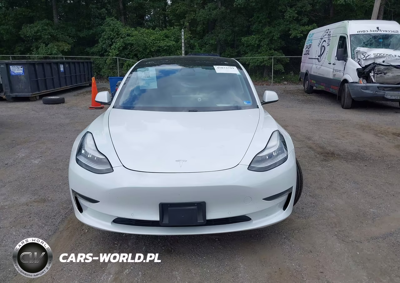 2021 Tesla Model 3 Standard Range Plus Rear-Wheel Drive VIN:5YJ3E1EA3MF848614 - 12