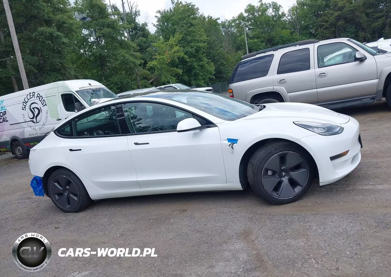 2021 Tesla Model 3 Standard Range Plus Rear-Wheel Drive VIN:5YJ3E1EA3MF848614 - 13