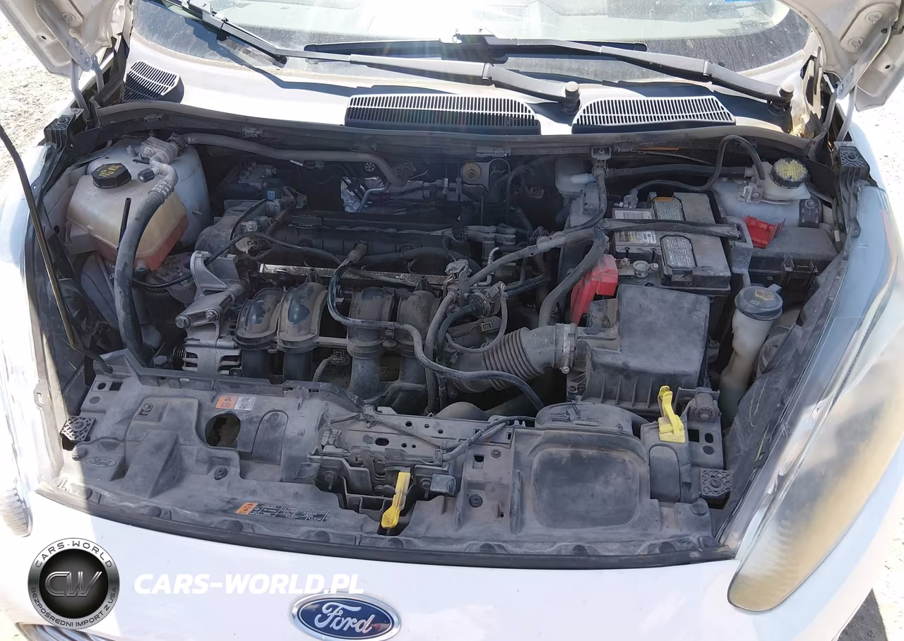 2016 Ford Fiesta Se VIN:3FADP4BJ9GM186029 - 10