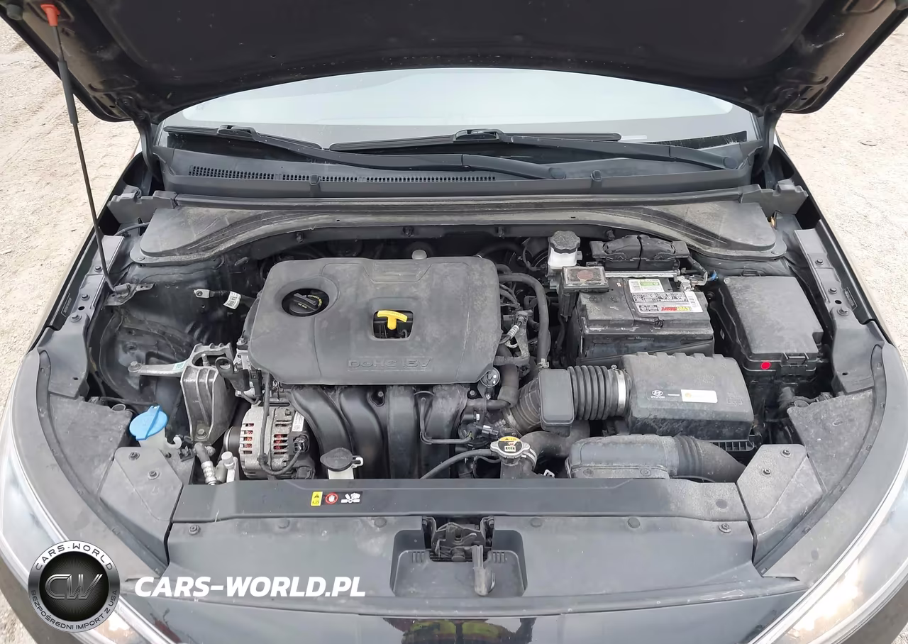 2019 Hyundai Elantra Sel VIN:5NPD84LF1KH418784 - 10