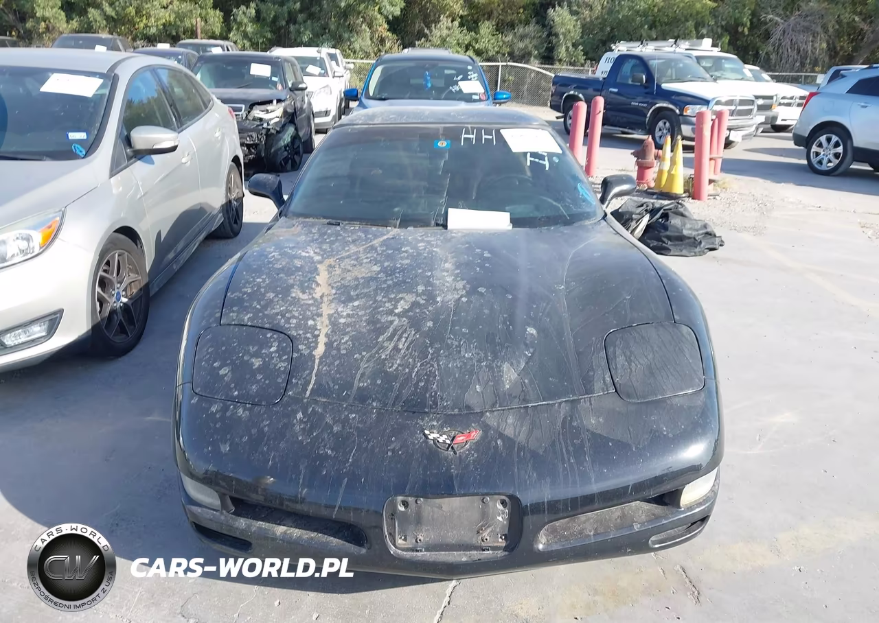 2004 Chevrolet Corvette VIN:1G1YY22G145121719 - 11