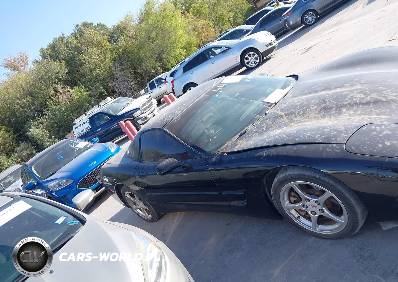 2004 Chevrolet Corvette VIN:1G1YY22G145121719 - 12
