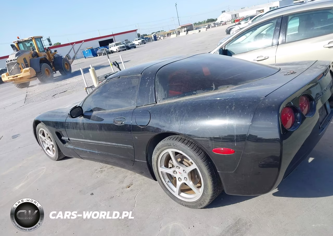 2004 Chevrolet Corvette VIN:1G1YY22G145121719 - 13