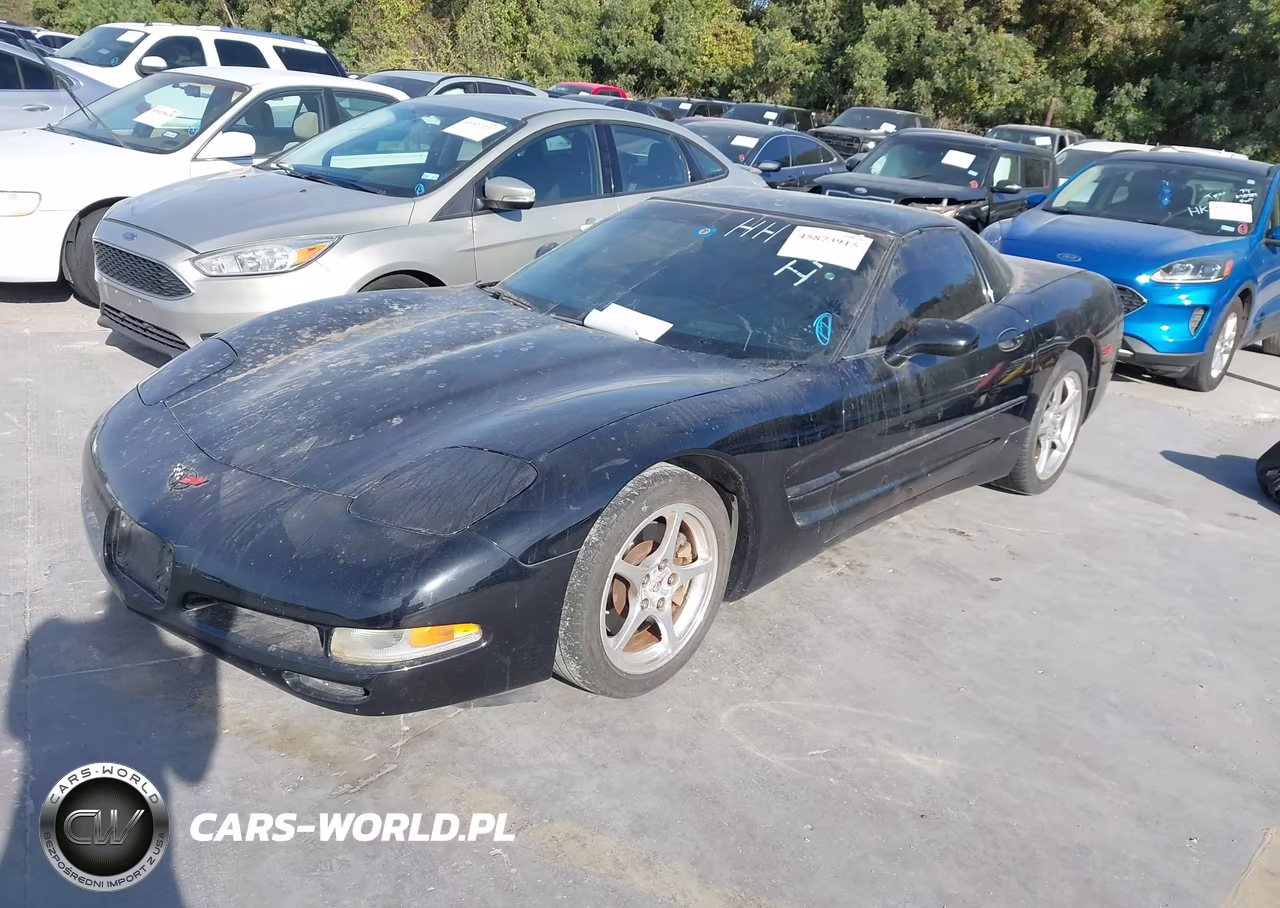 2004 Chevrolet Corvette VIN:1G1YY22G145121719 - 2
