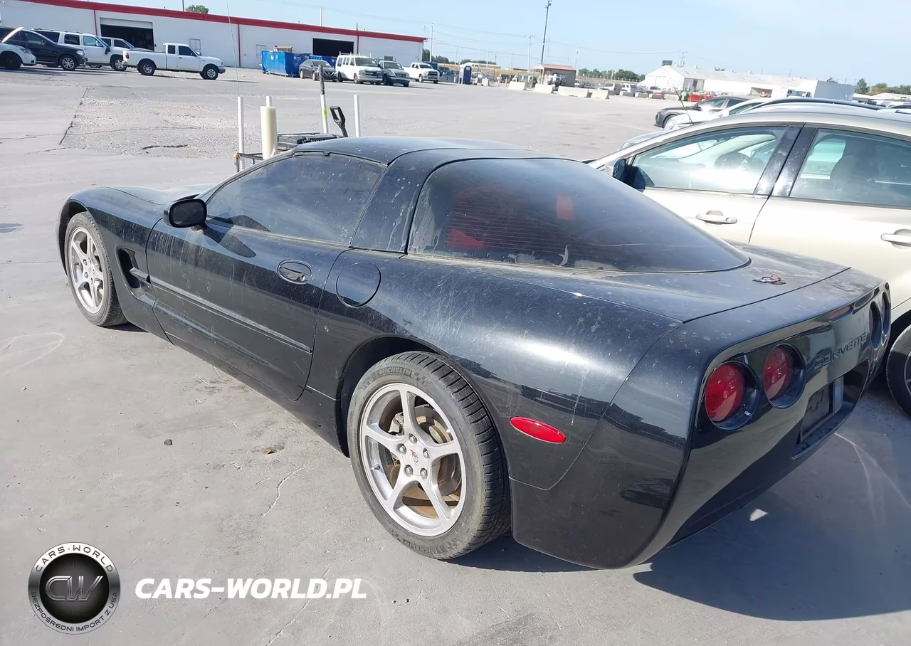2004 Chevrolet Corvette VIN:1G1YY22G145121719 - 3