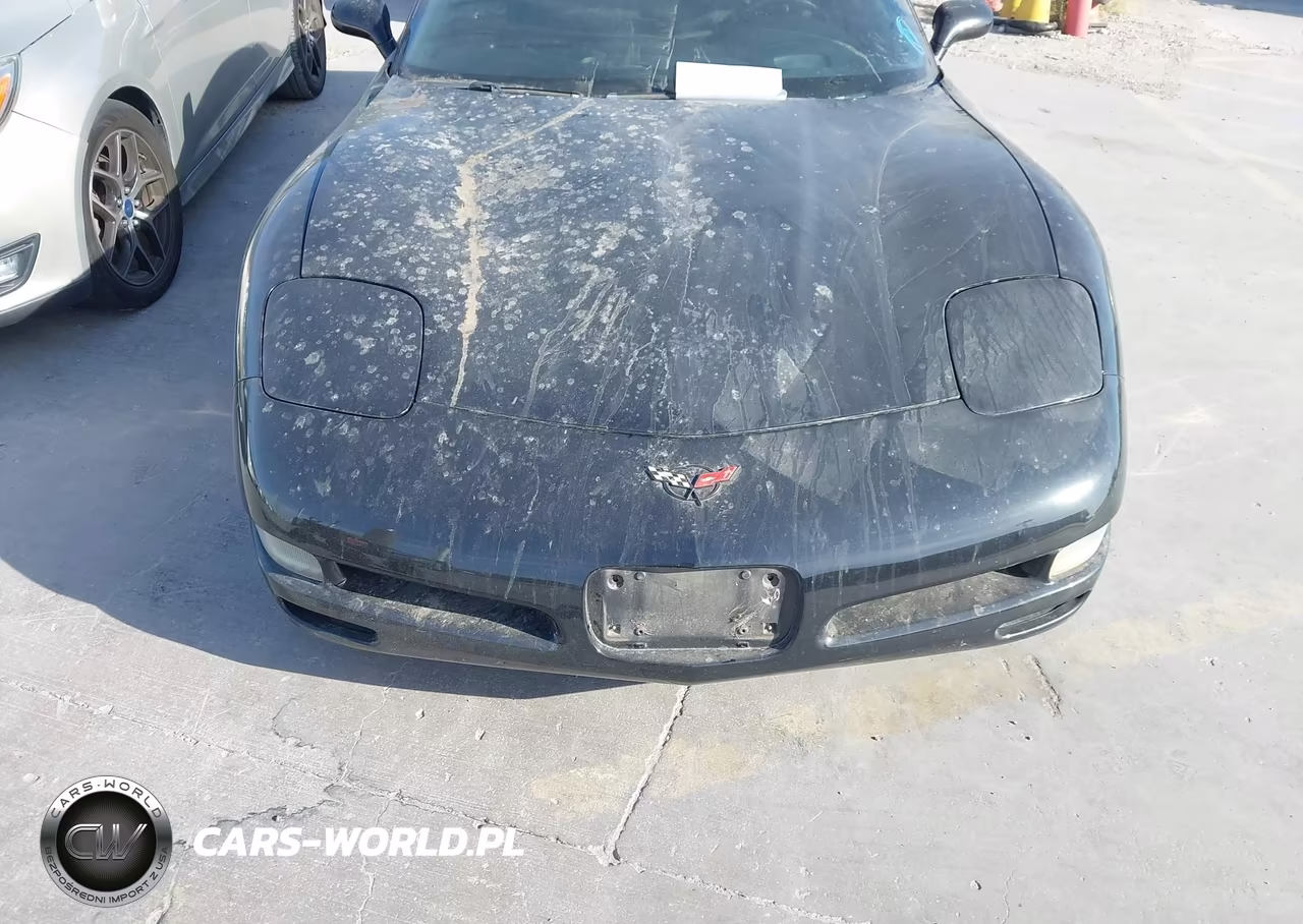 2004 Chevrolet Corvette VIN:1G1YY22G145121719 - 6