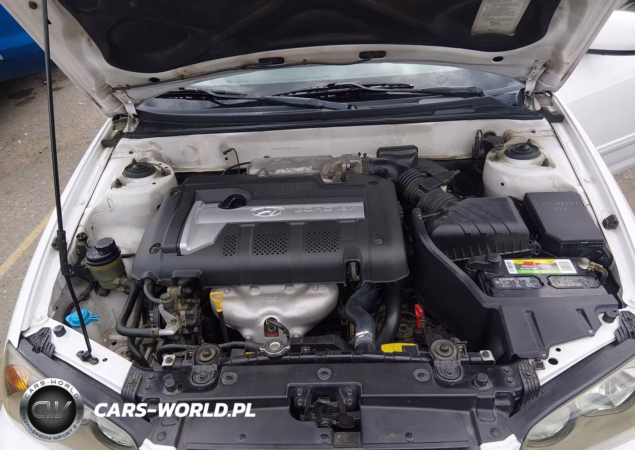 2004 Hyundai Elantra Gls-Gt VIN:KMHDN46D84U869038 - 10
