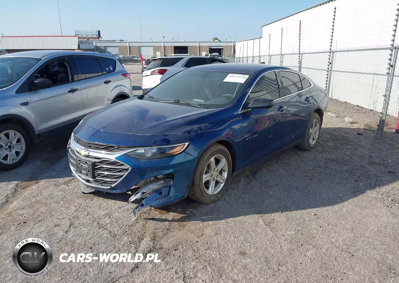 2019 Chevrolet Malibu 1Fl VIN:1G1ZC5ST6KF186798 - 2