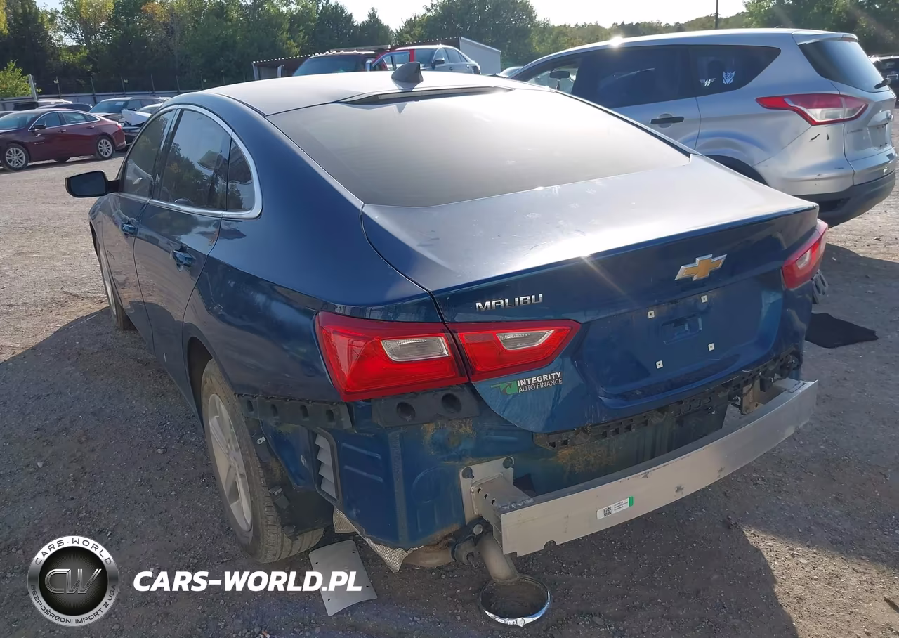 2019 Chevrolet Malibu 1Fl VIN:1G1ZC5ST6KF186798 - 3
