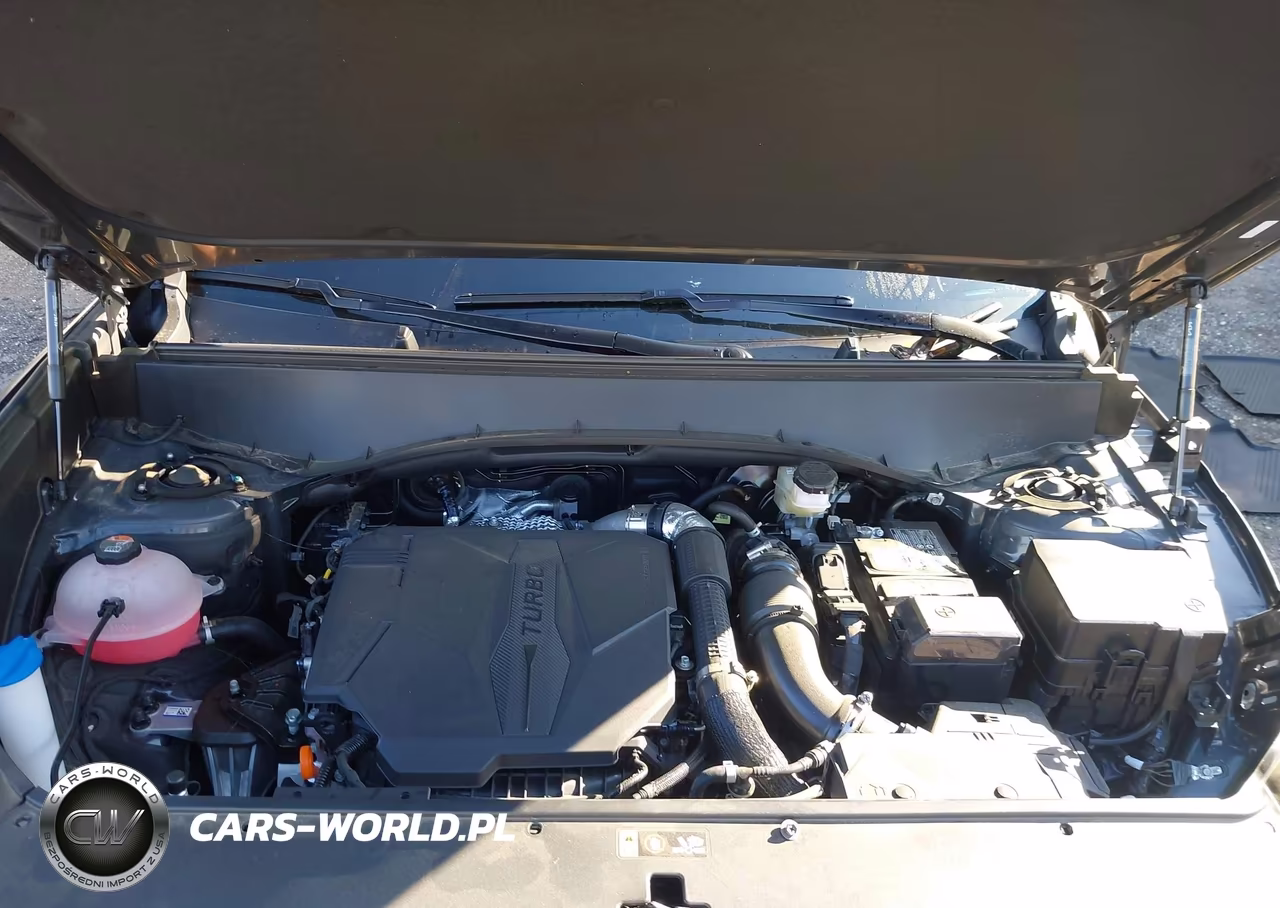 2027 Kia Telluride X-Pro Sx-Prestige VIN:5XYPLES18VG023388 - 10