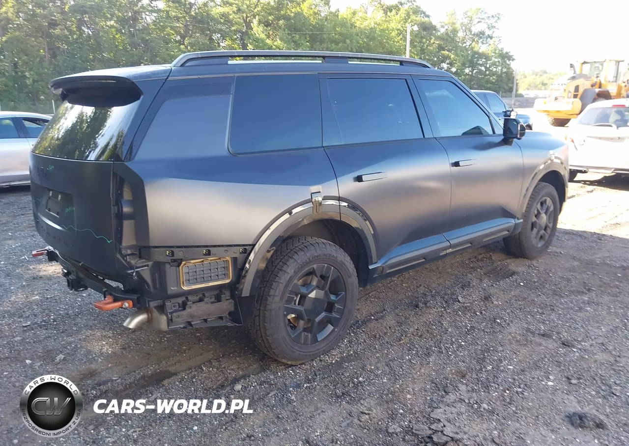 2027 Kia Telluride X-Pro Sx-Prestige VIN:5XYPLES18VG023388 - 4