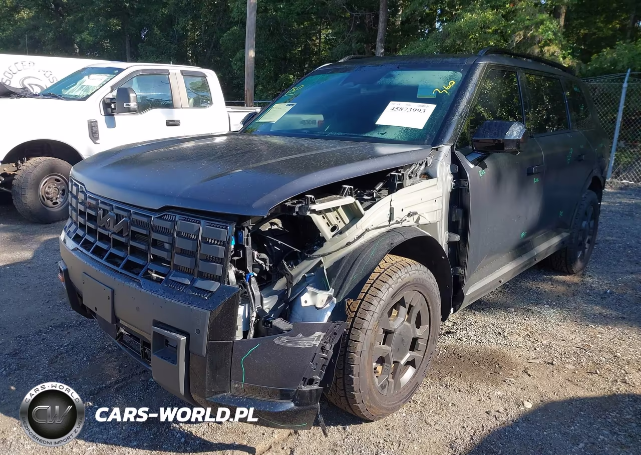 2027 Kia Telluride X-Pro Sx-Prestige VIN:5XYPLES18VG023388 - 6