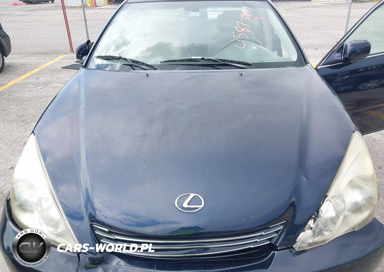 2002 Lexus Es 300 VIN:JTHBF30G520076143 - 10