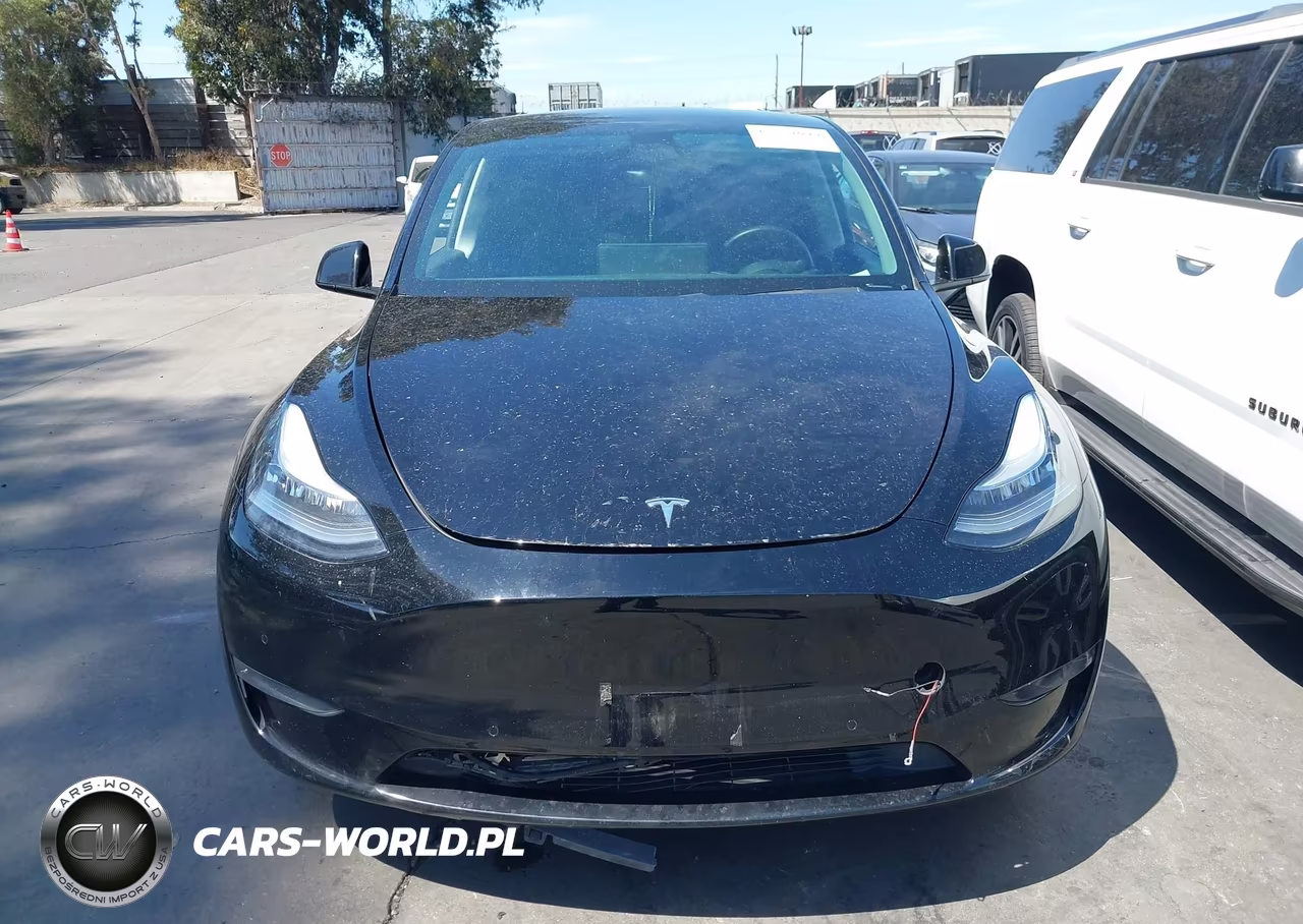 2020 Tesla Model Y Long Range Dual Motor All-Wheel Drive VIN:5YJYGDEE4LF038976 - 12
