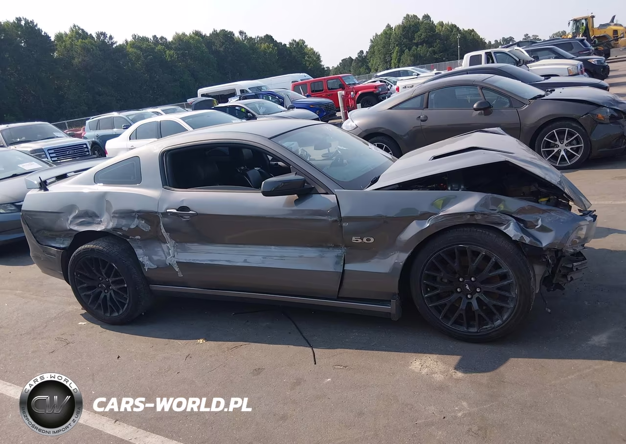 2014 Ford Mustang Gt Premium VIN:1ZVBP8CF2E5221237 - 13