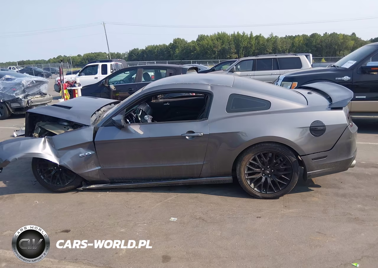 2014 Ford Mustang Gt Premium VIN:1ZVBP8CF2E5221237 - 14