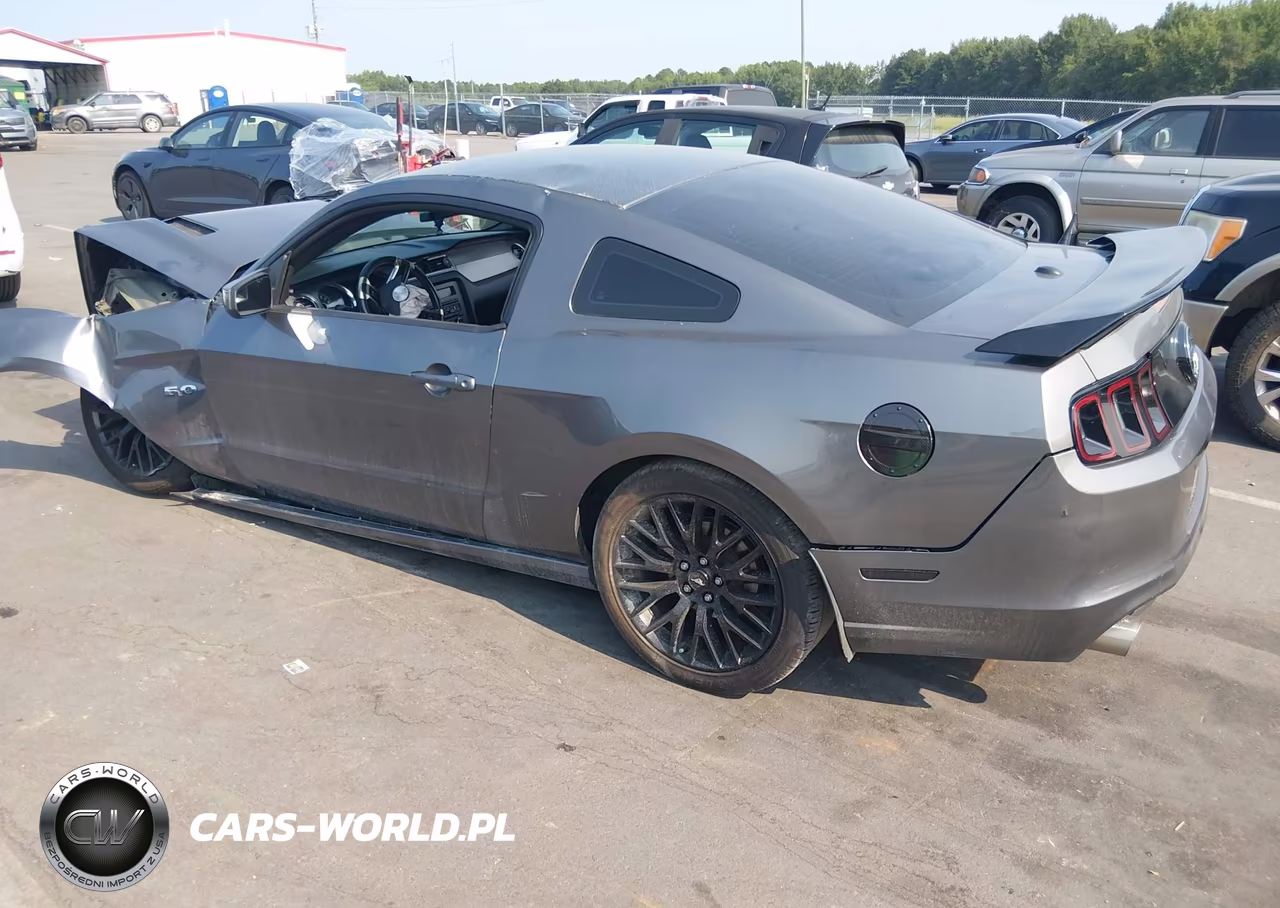 2014 Ford Mustang Gt Premium VIN:1ZVBP8CF2E5221237 - 3