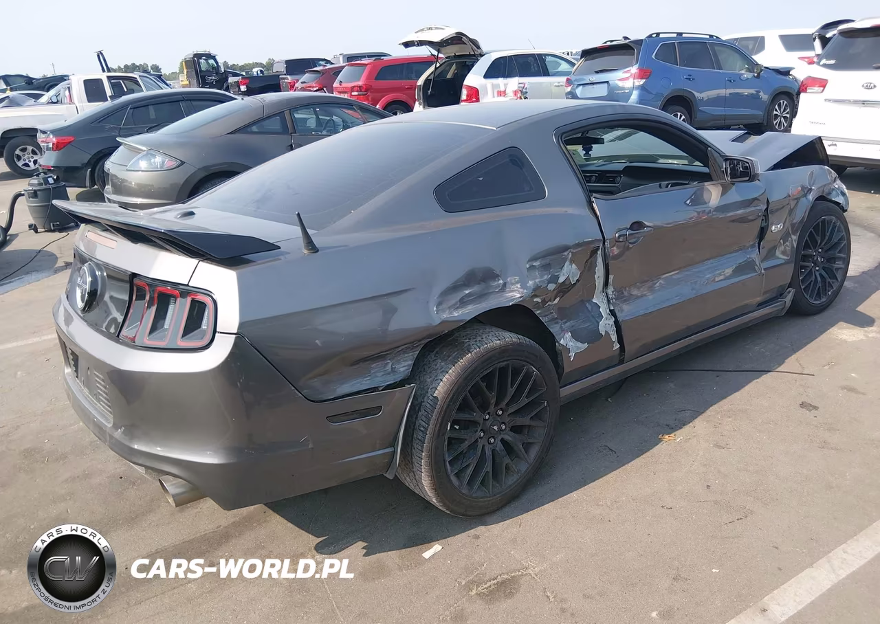 2014 Ford Mustang Gt Premium VIN:1ZVBP8CF2E5221237 - 4