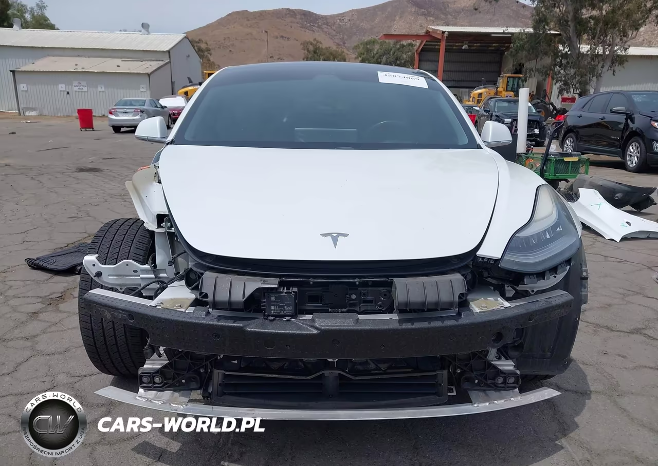 2019 Tesla Model 3 Long Range-Mid Range-Standard Range-Standard Range Plus VIN:5YJ3E1EA7KF402432 - 13