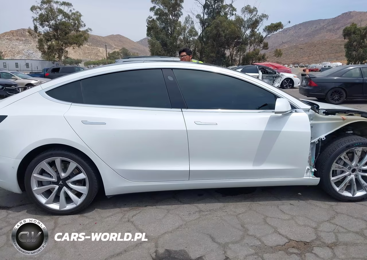 2019 Tesla Model 3 Long Range-Mid Range-Standard Range-Standard Range Plus VIN:5YJ3E1EA7KF402432 - 14