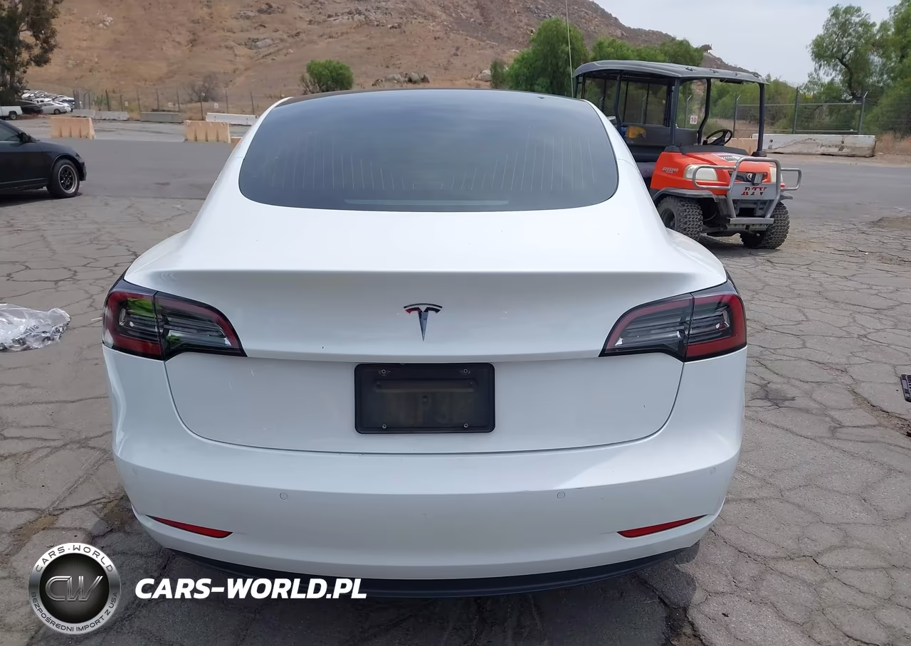 2019 Tesla Model 3 Long Range-Mid Range-Standard Range-Standard Range Plus VIN:5YJ3E1EA7KF402432 - 17