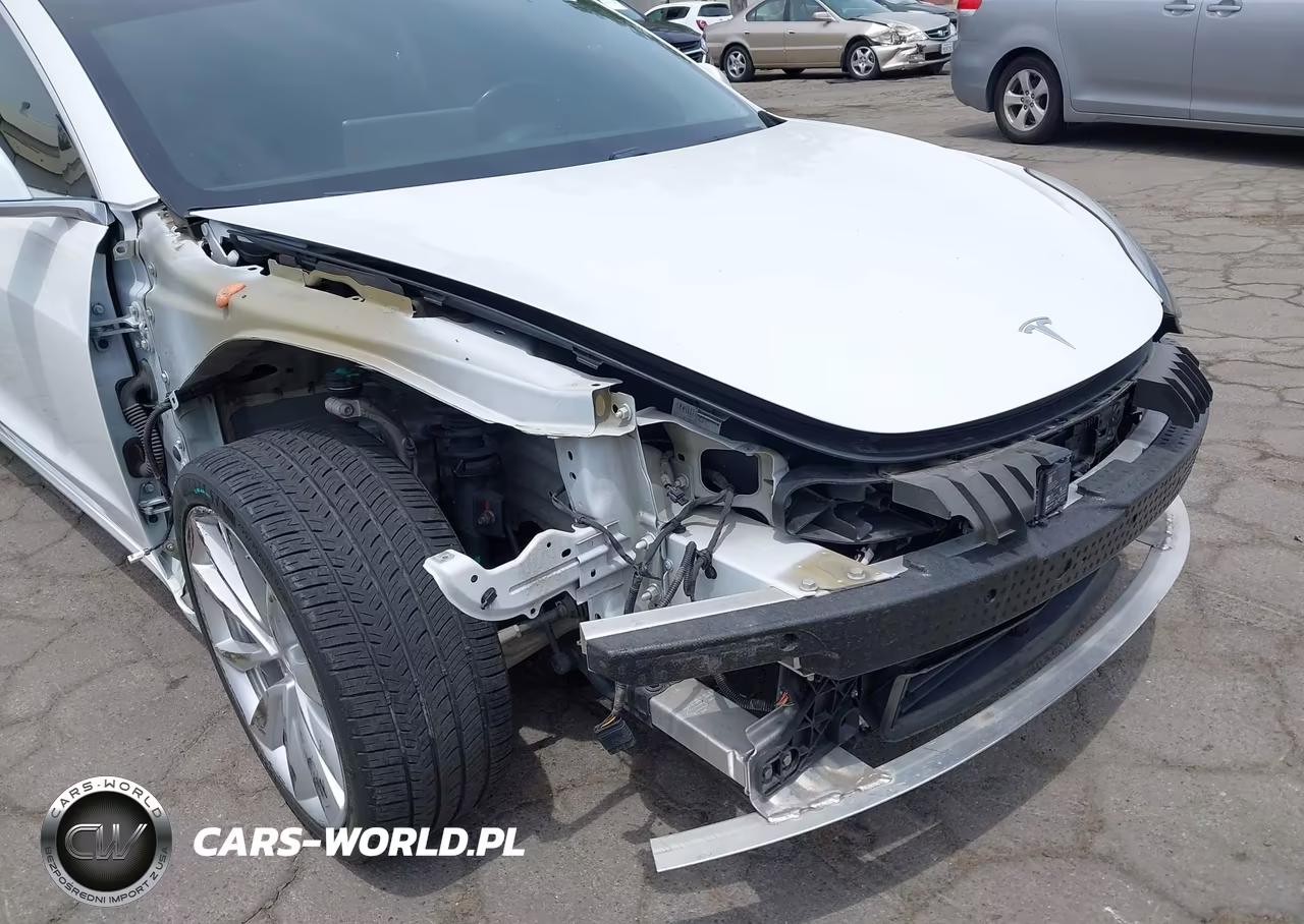 2019 Tesla Model 3 Long Range-Mid Range-Standard Range-Standard Range Plus VIN:5YJ3E1EA7KF402432 - 6