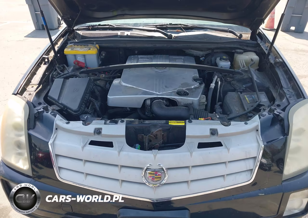 2005 Cadillac Srx V6 VIN:1GYEE637350101957 - 10
