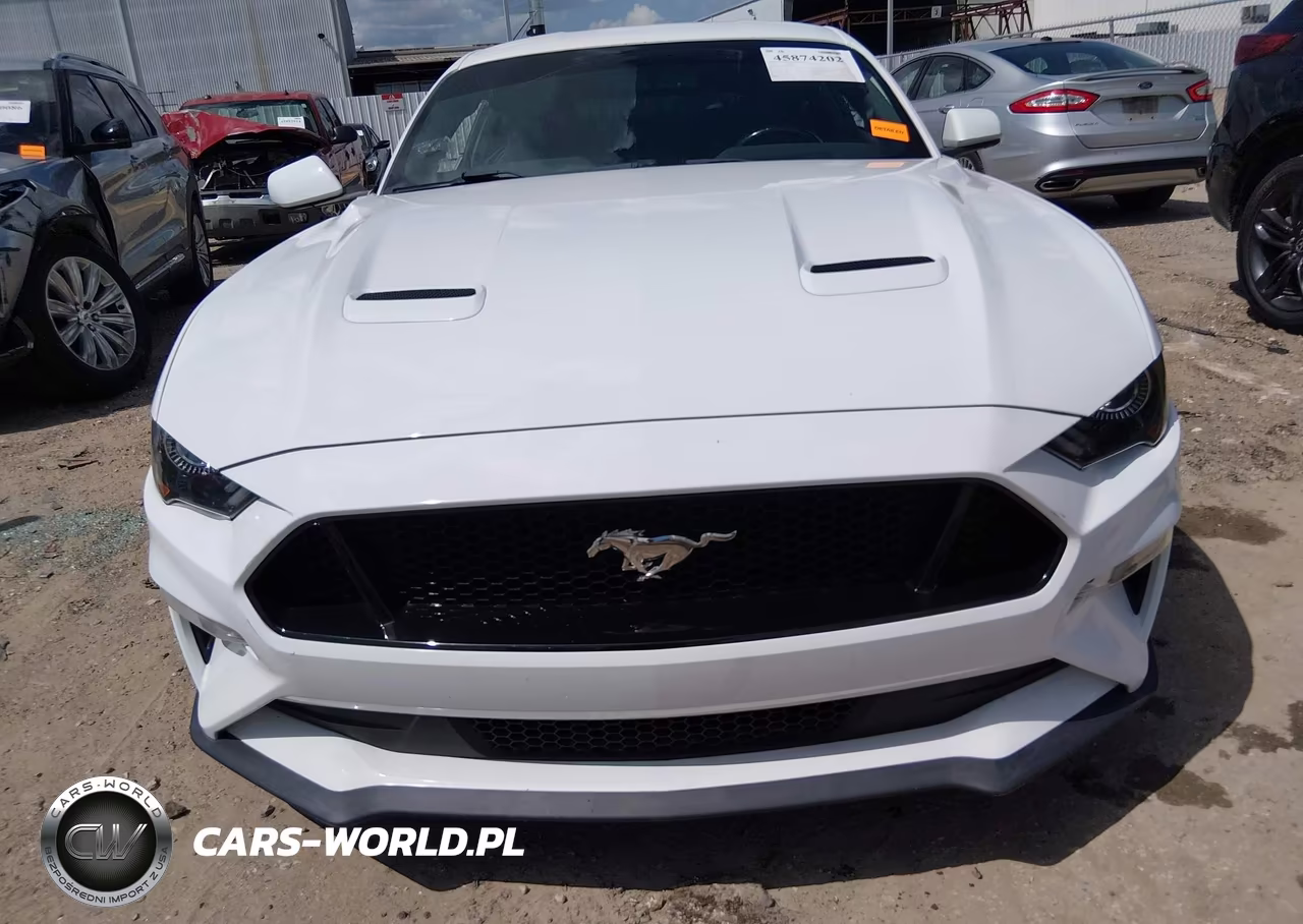 2019 Ford Mustang Gt VIN:1FA6P8CF6K5166751 - 12