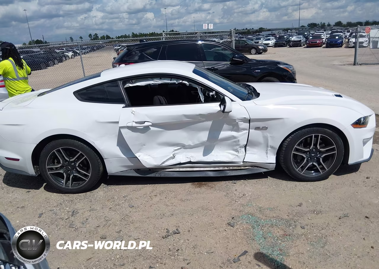 2019 Ford Mustang Gt VIN:1FA6P8CF6K5166751 - 13