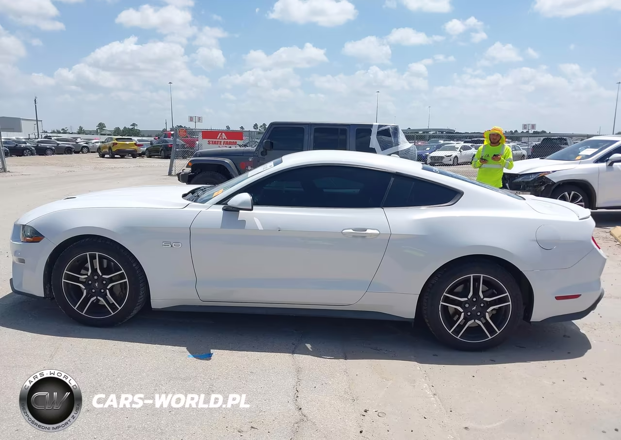2019 Ford Mustang Gt VIN:1FA6P8CF6K5166751 - 14