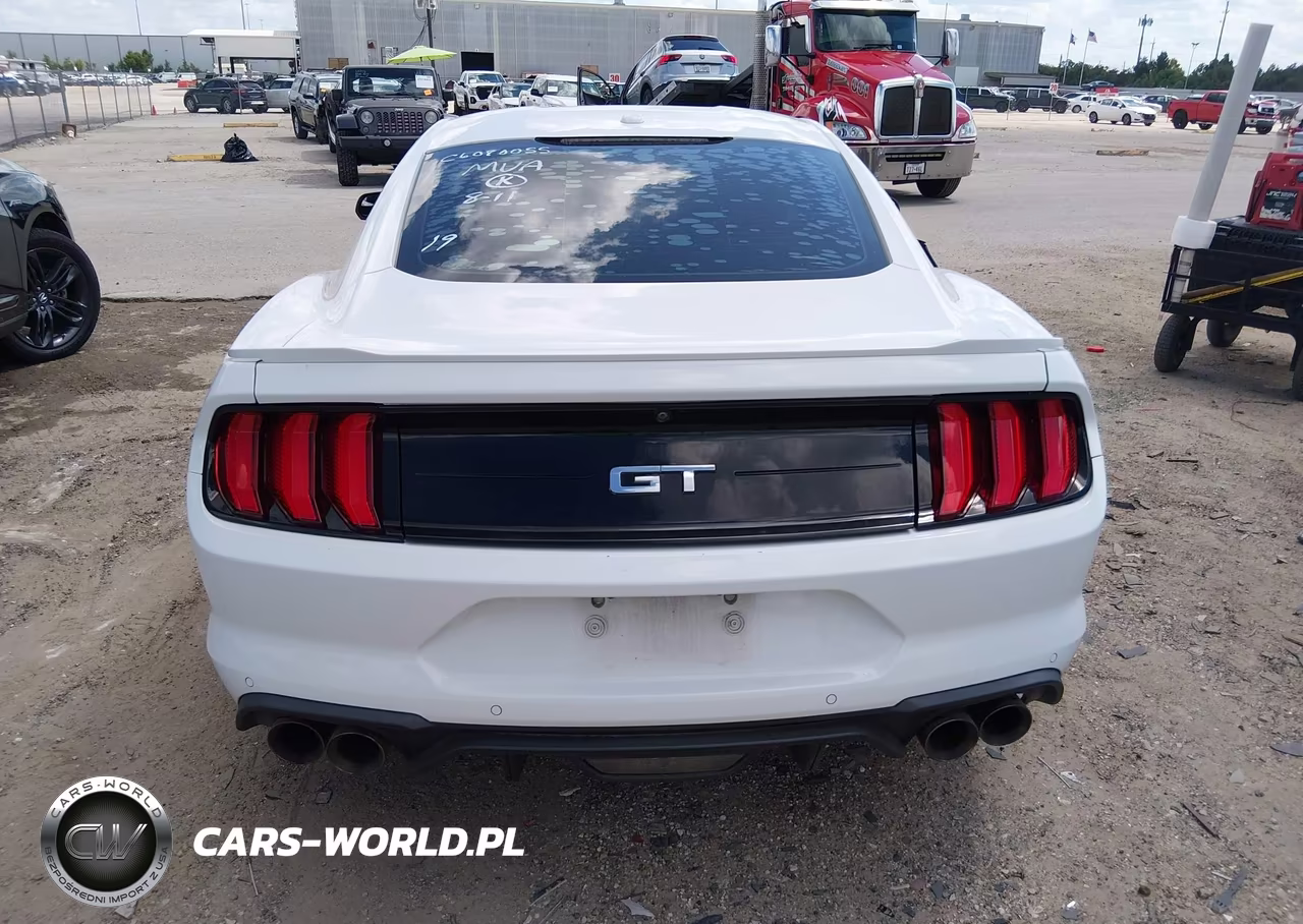 2019 Ford Mustang Gt VIN:1FA6P8CF6K5166751 - 16