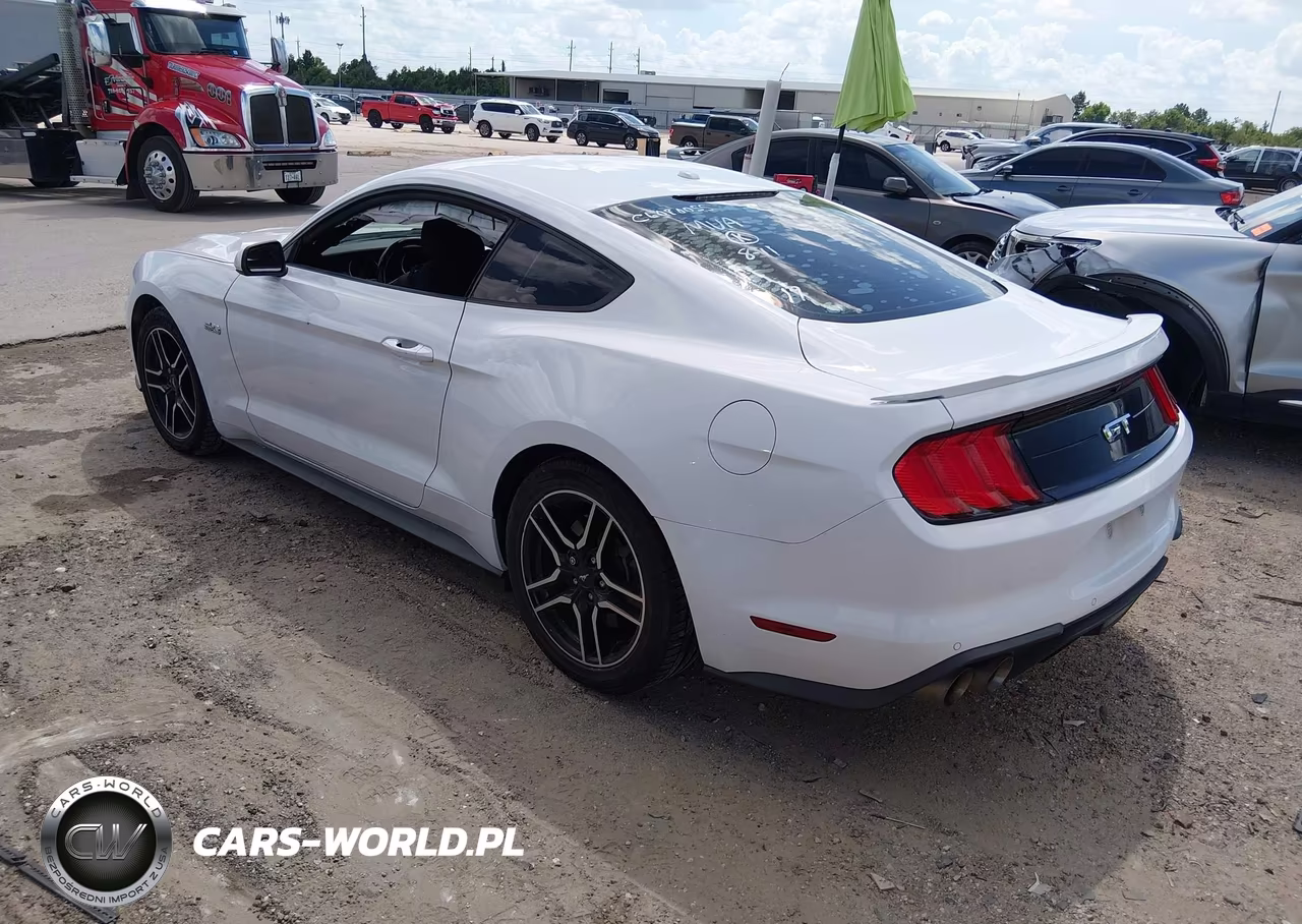 2019 Ford Mustang Gt VIN:1FA6P8CF6K5166751 - 3