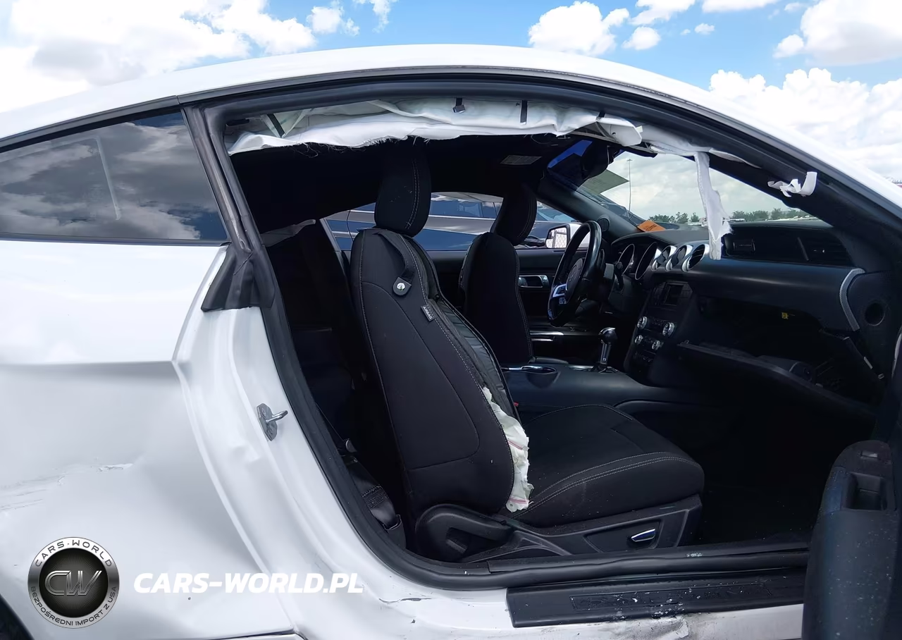2019 Ford Mustang Gt VIN:1FA6P8CF6K5166751 - 5